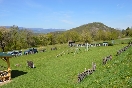 Array