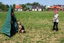 Array