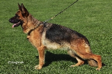 Photo19