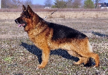 Photo18