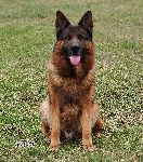 Photo17