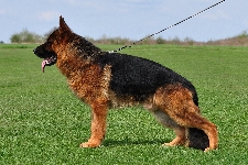 Photo15