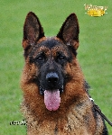 Photo15