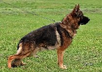Photo12