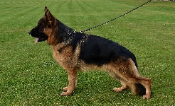 Photo14