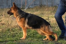 Photo10