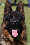 Photo0
