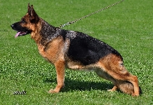 Photo0