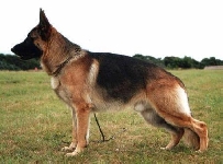 Photo46