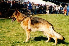 Photo45