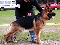 Photo44