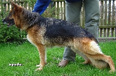Photo44