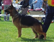 Photo43
