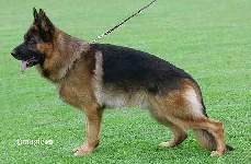 Photo41
