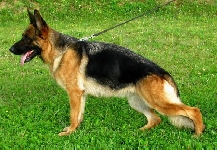 Photo41