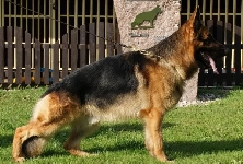 Photo38