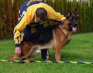 Photo36