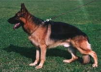 Photo47