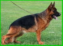 Photo34