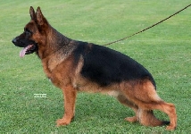 Photo33