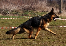 Photo31