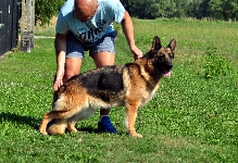 Photo29