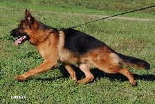 Photo28