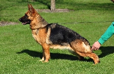 Photo28