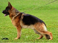Photo27