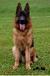 Photo27