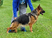 Photo26