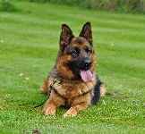 Photo26