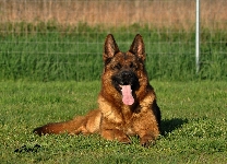 Photo25