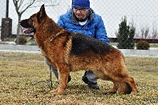 Photo25