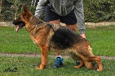 Photo25