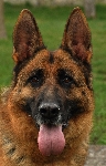 Photo25