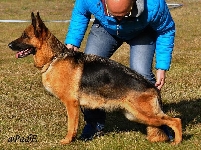 Photo22