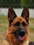 Photo22