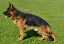 Photo21