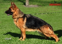 Photo20