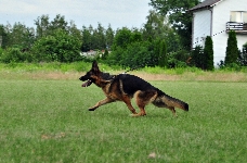 Photo1