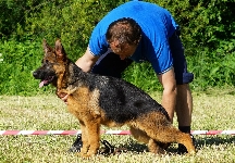 Photo1