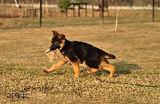 Photo2