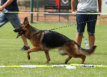 Photo1
