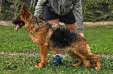 Photo3