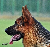 Photo3