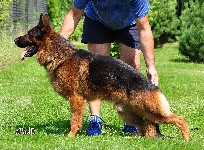 Photo1
