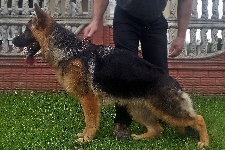Photo1