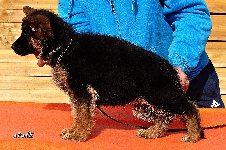 Photo1