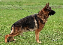 Photo1